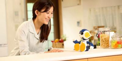 5 Interactive Companion Robots for Your Home